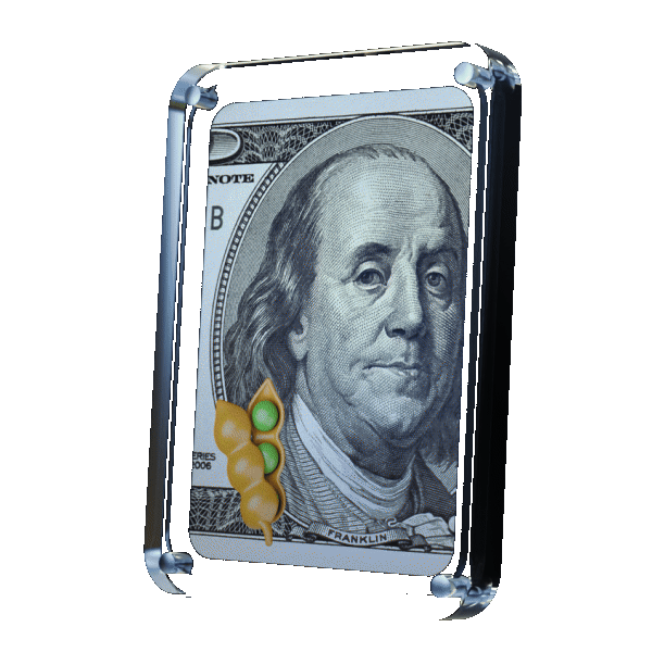 dolar reddy
